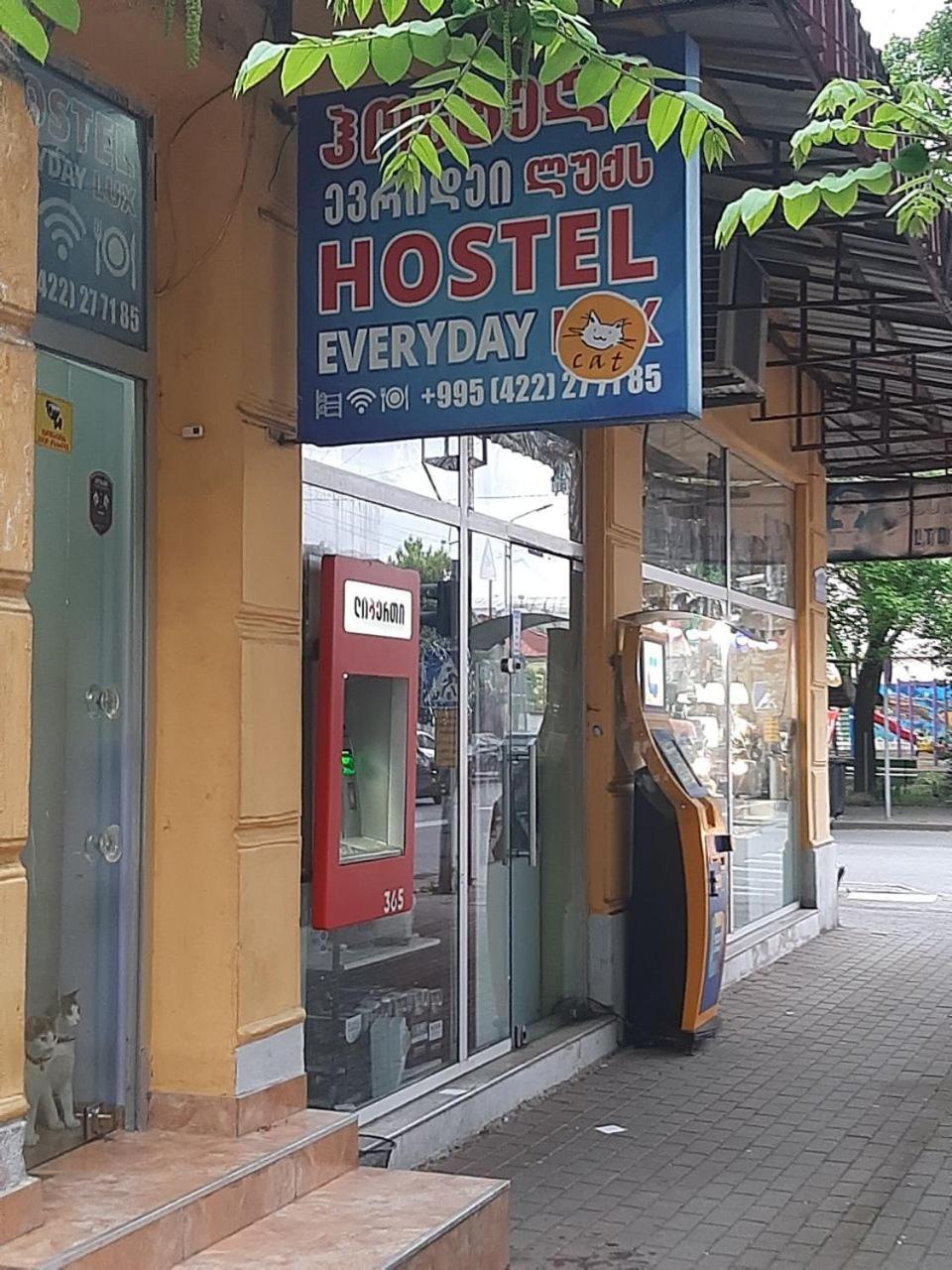 Everyday Cat Hostel باتومي المظهر الخارجي الصورة