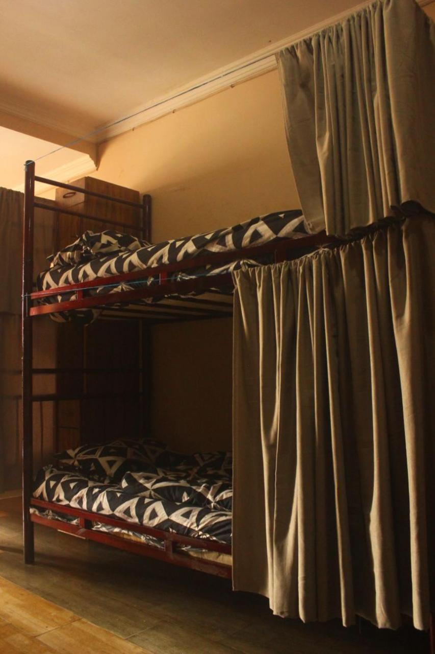 Everyday Cat Hostel باتومي المظهر الخارجي الصورة