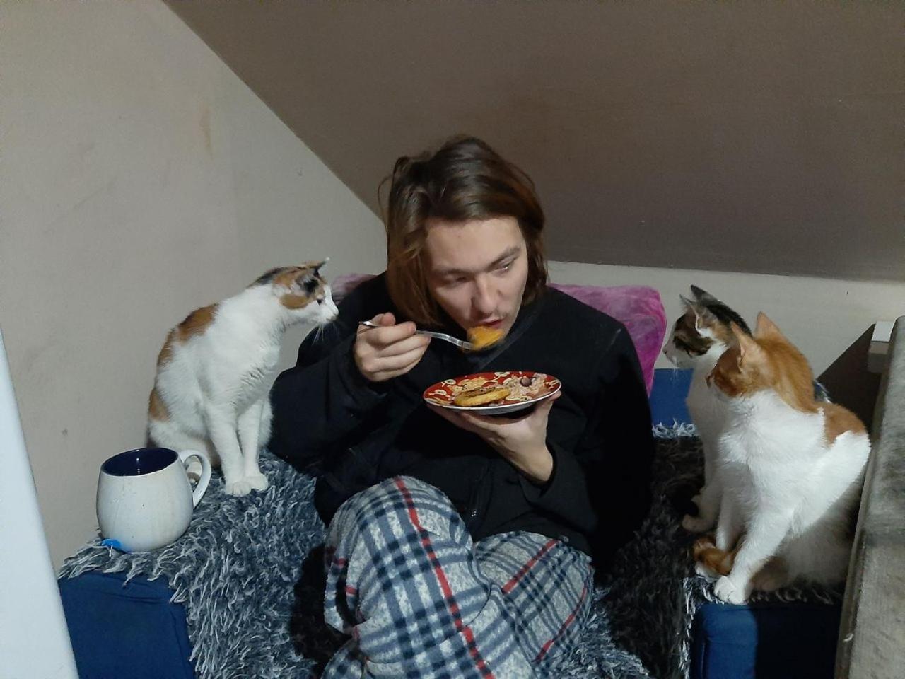 Everyday Cat Hostel باتومي المظهر الخارجي الصورة