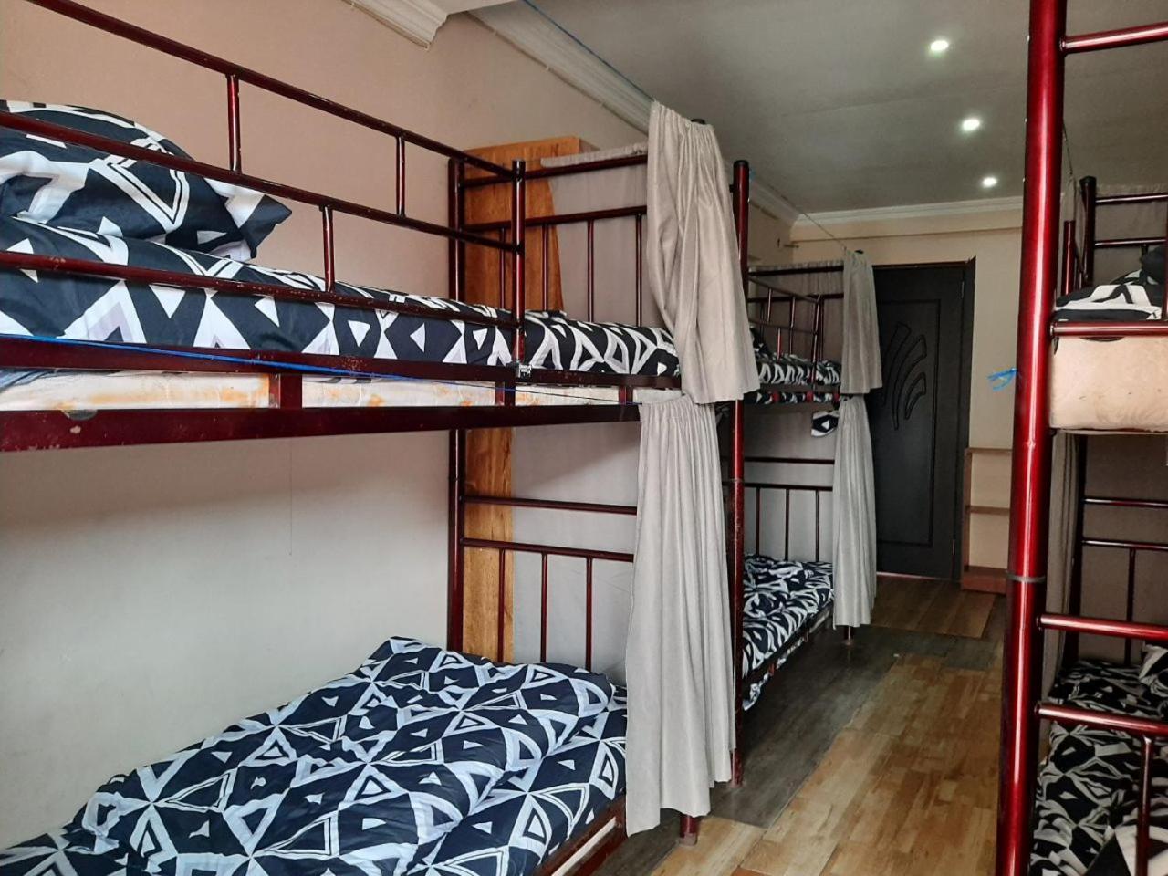 Everyday Cat Hostel باتومي المظهر الخارجي الصورة