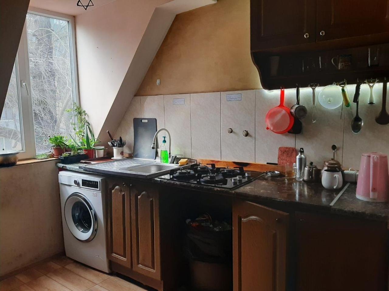 Everyday Cat Hostel باتومي المظهر الخارجي الصورة