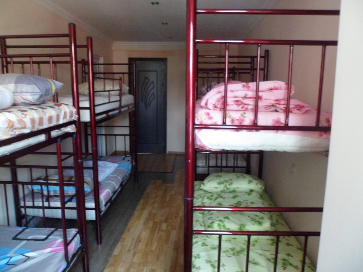 Everyday Cat Hostel باتومي المظهر الخارجي الصورة