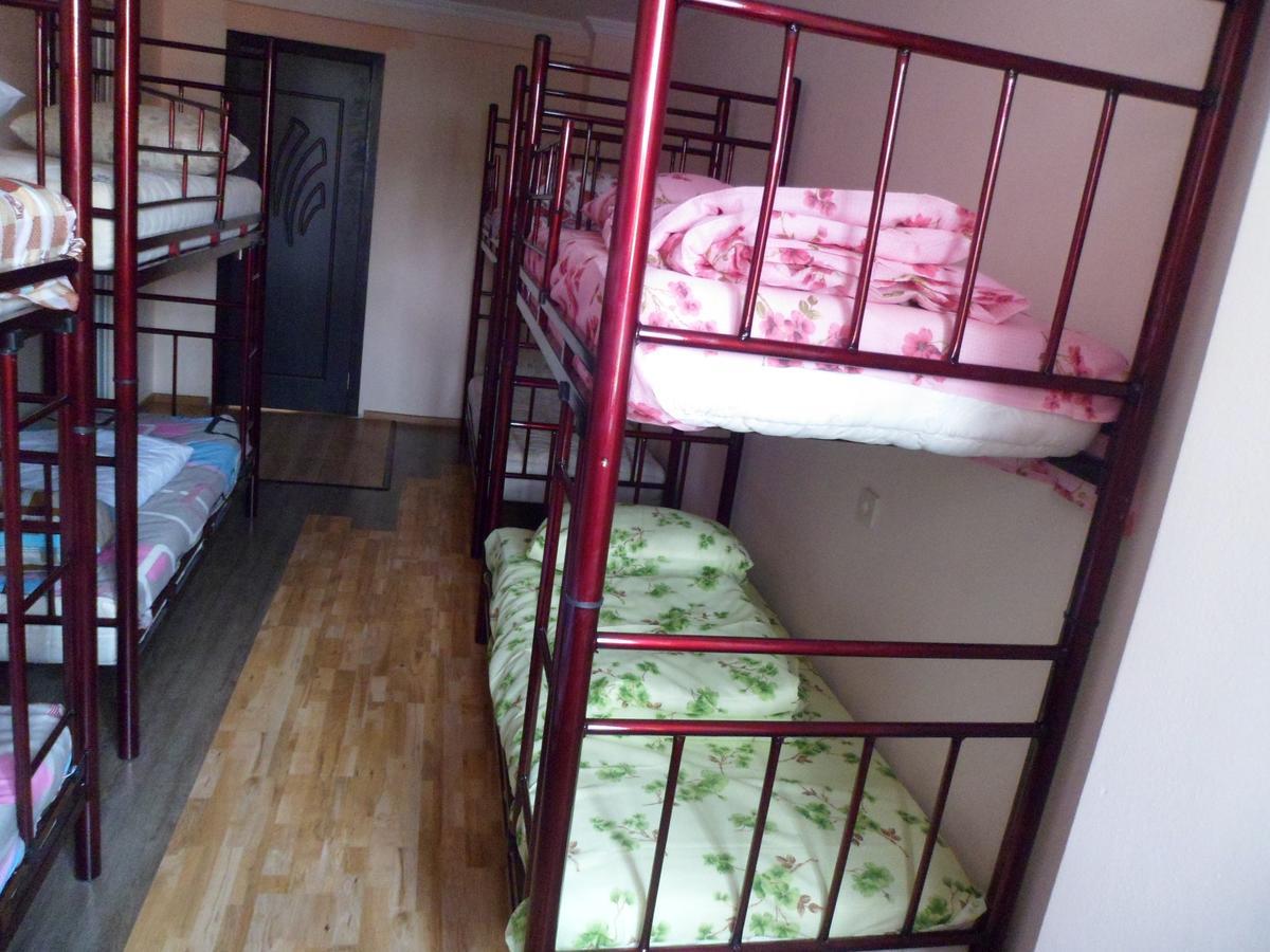 Everyday Cat Hostel باتومي المظهر الخارجي الصورة