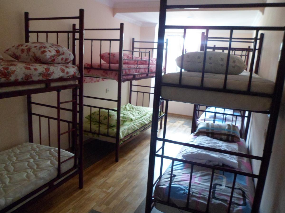 Everyday Cat Hostel باتومي المظهر الخارجي الصورة