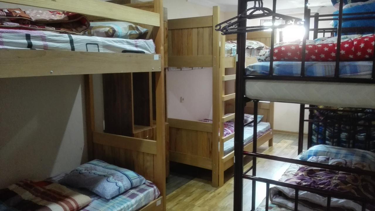 Everyday Cat Hostel باتومي المظهر الخارجي الصورة