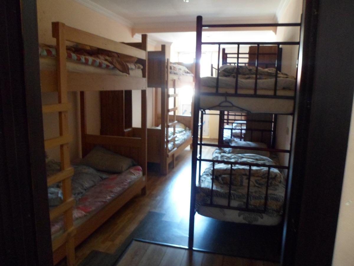 Everyday Cat Hostel باتومي المظهر الخارجي الصورة
