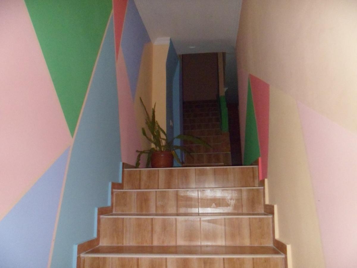 Everyday Cat Hostel باتومي المظهر الخارجي الصورة