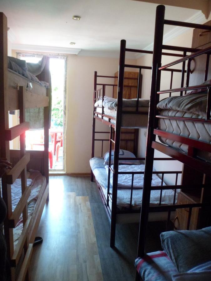 Everyday Cat Hostel باتومي المظهر الخارجي الصورة