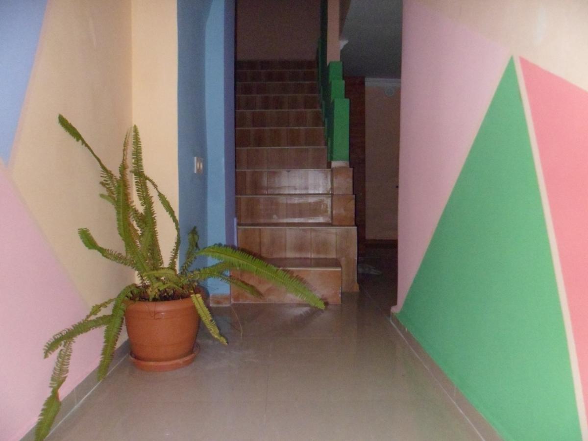 Everyday Cat Hostel باتومي المظهر الخارجي الصورة