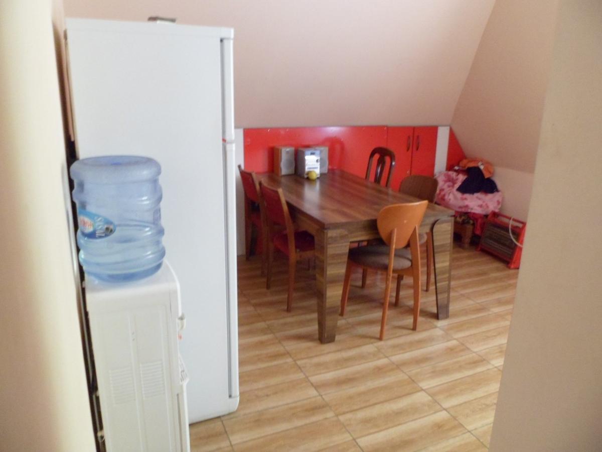 Everyday Cat Hostel باتومي المظهر الخارجي الصورة