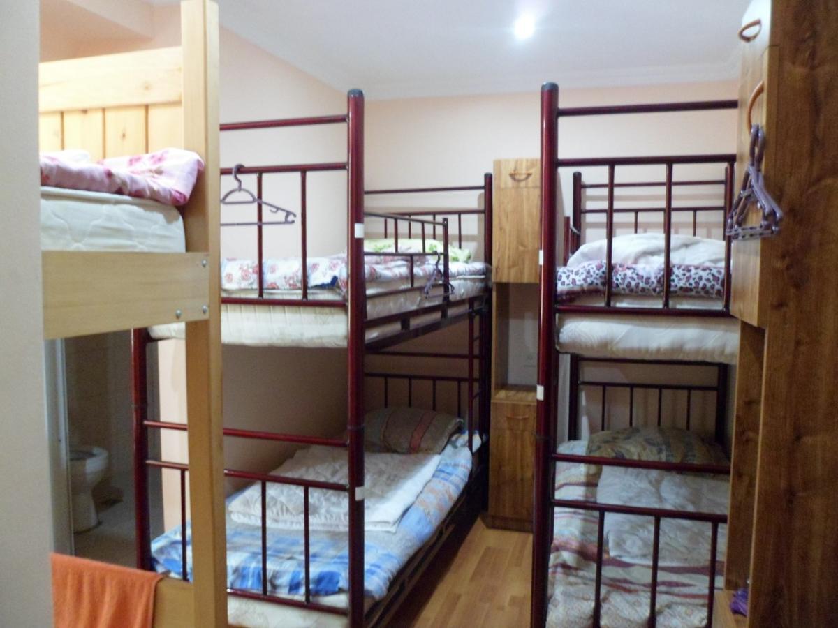 Everyday Cat Hostel باتومي المظهر الخارجي الصورة